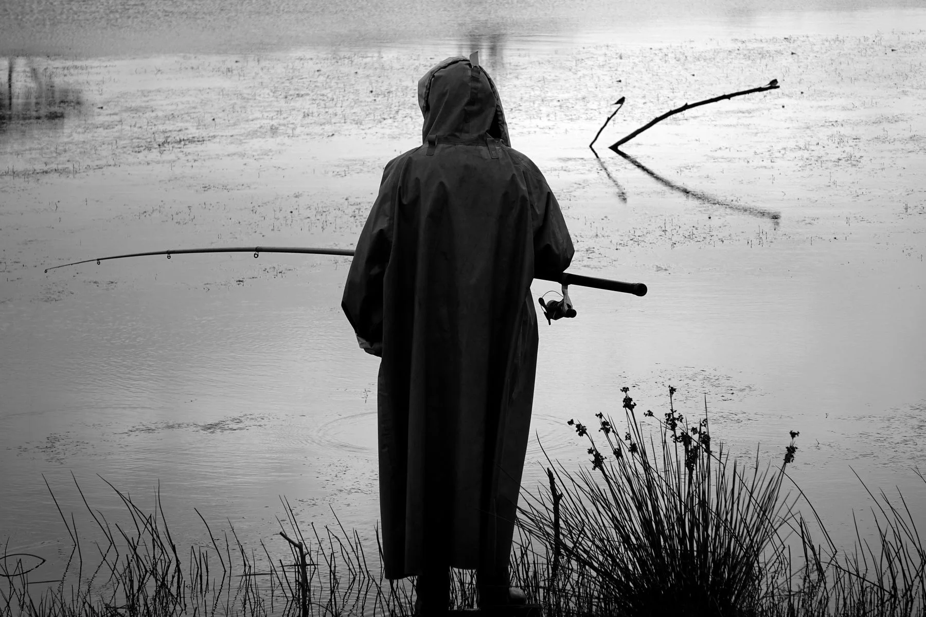 Monochrome angler beside still water
