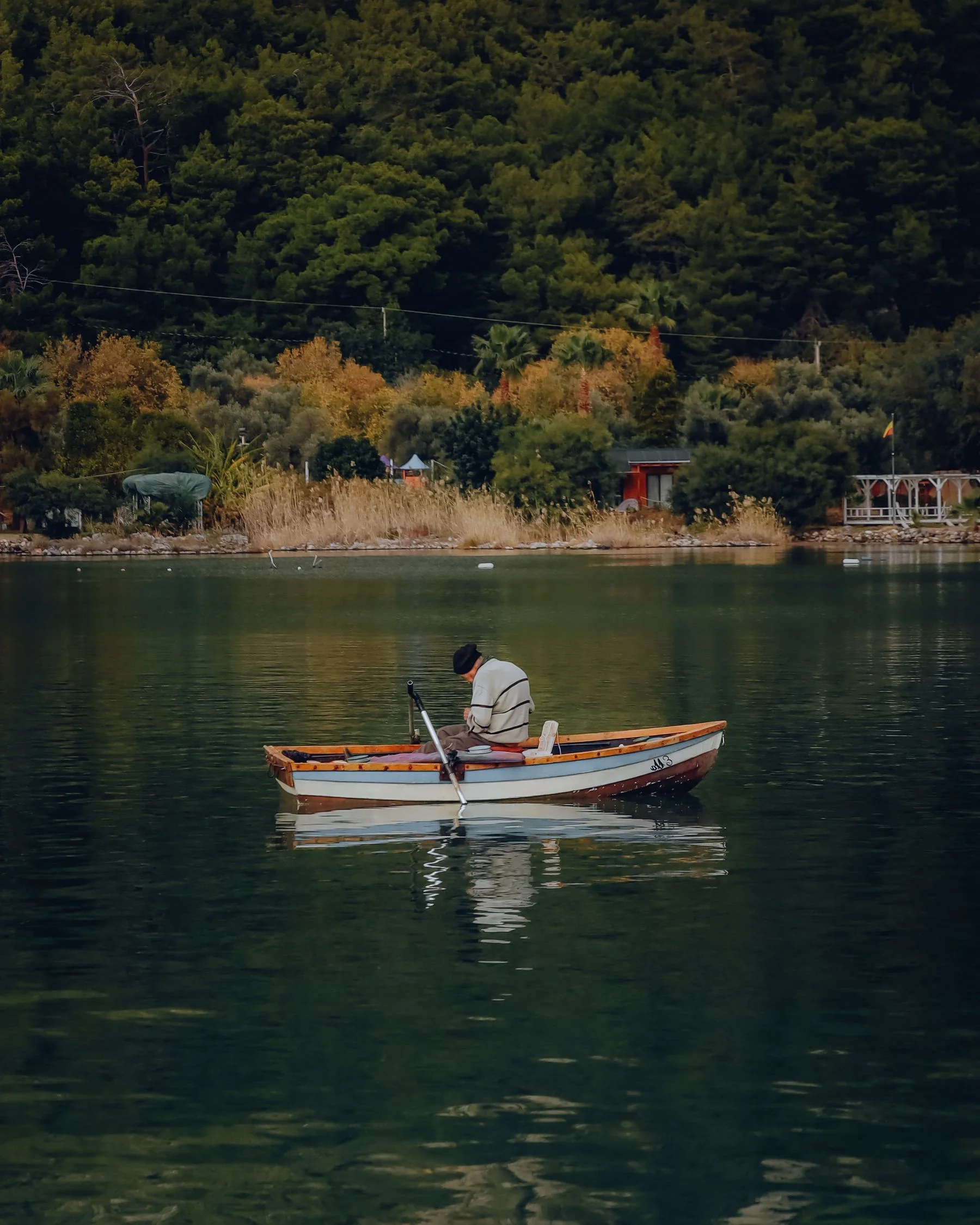 Angler in a boat near a wooded shore